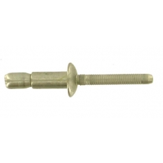 1/4'' Protruding Head Stainless Steel Magna-Lok