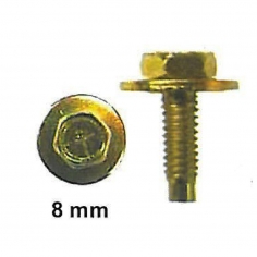 Hex Bolt with Washer Gold M5