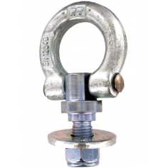 Tie Down Ring